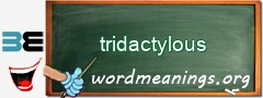 WordMeaning blackboard for tridactylous